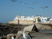 essouira01