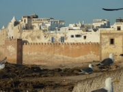 essouira05