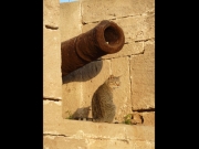 essouira10