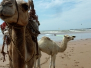plages02